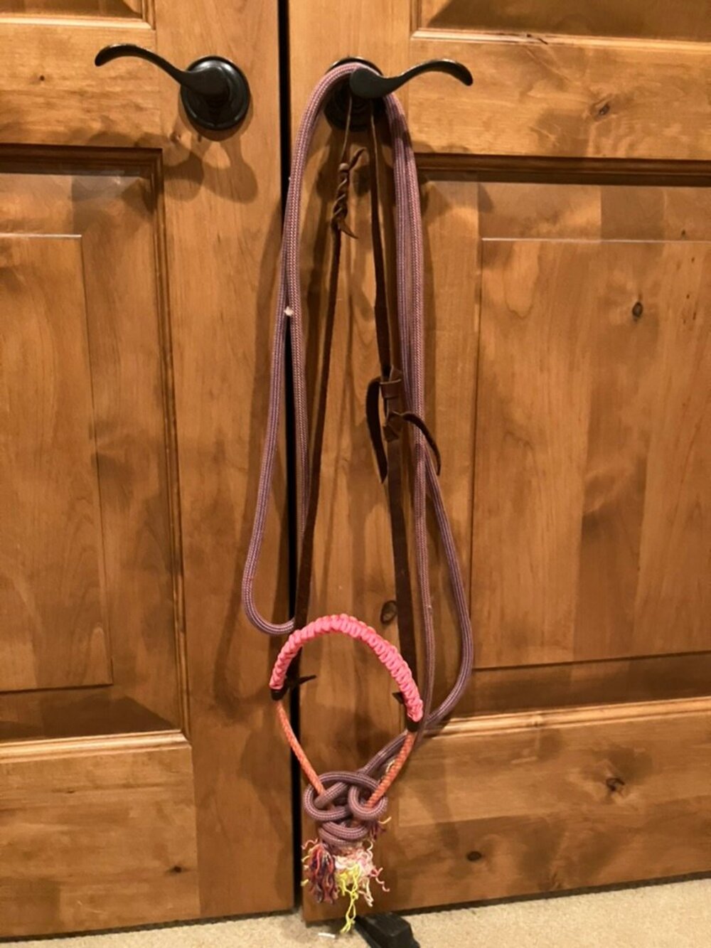 Pink Loping Hackamore With Loop Reins